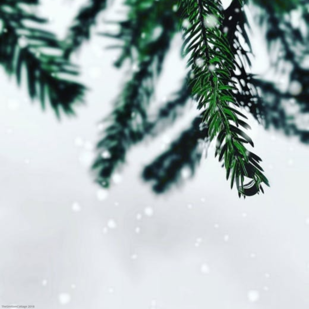 Christmas Tree traditions