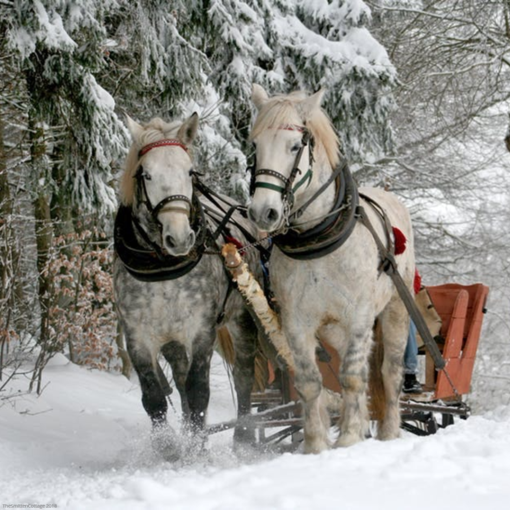 Christmas Tree traditions